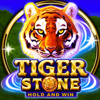 Tiger Stone