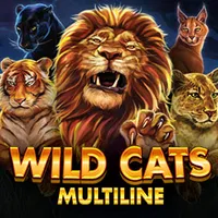 wildcatsmultilin
