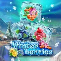 10103_winterberries
